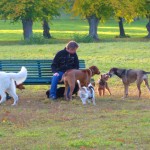 Drottningholm hundpark Drottningholm hundpark