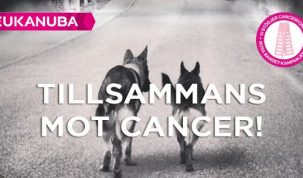 Eukanuba Hundpromenad